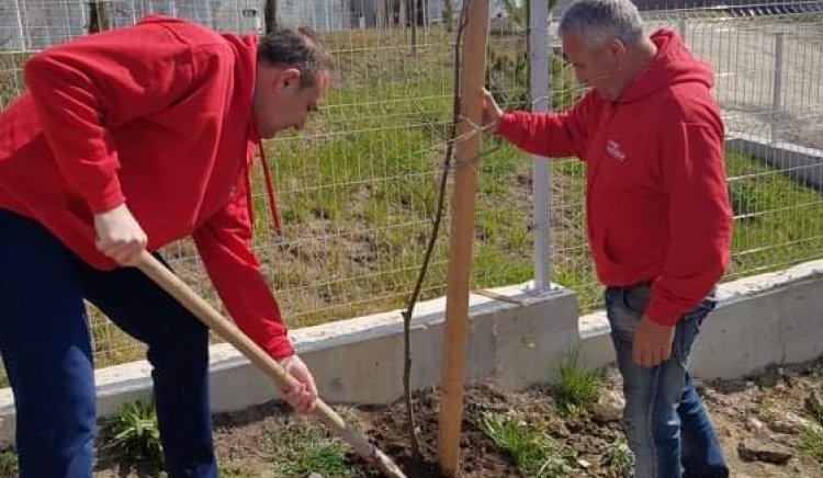 БСП-Варна засади 40 дръвчета във „Виница“